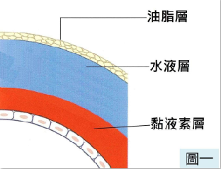 用眼过度后眼睛干涩疲劳一定要警惕干眼症！