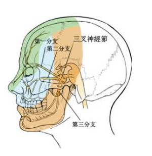 眼睛带状疱疹对视力的伤害